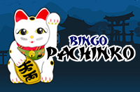 Bingo Pachinko